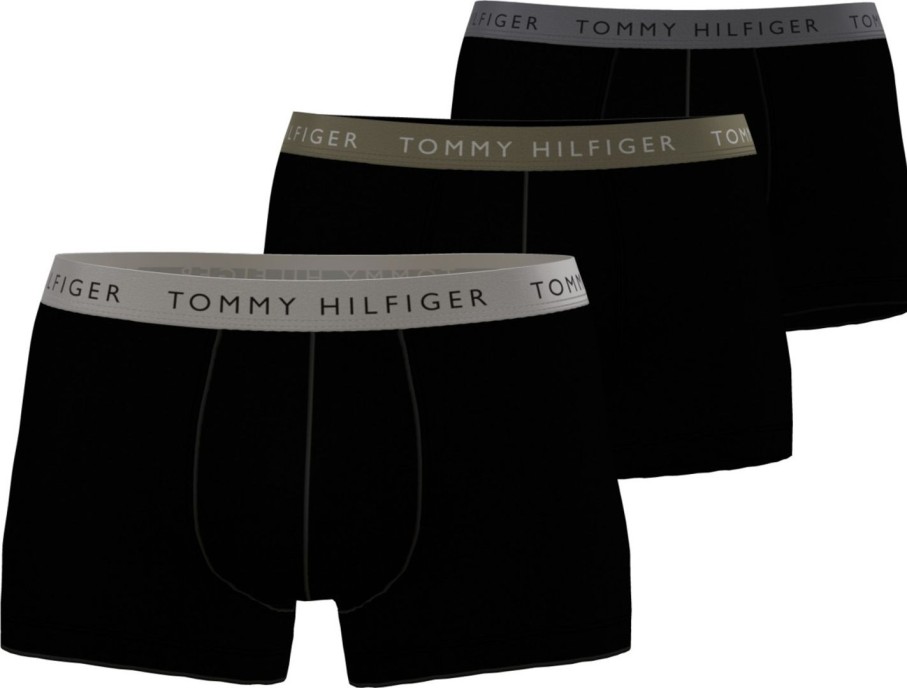 Miehet Tommy Hilfiger Alusasut | Trunk Shine Wb 3 Kpl Vaaleanharmaa