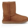 Lapset Ugg Kengat | Classic Ii -Lasten Kengat Ruskea